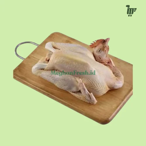 Ayam Pejantan 1 Ekor